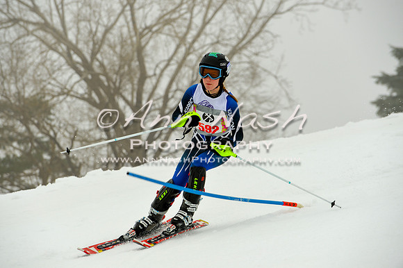 alpine-Jan20-2017-DSC_4191