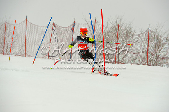 alpine-Jan20-2017-DSC_4202