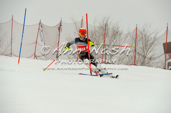 alpine-Jan20-2017-DSC_4203
