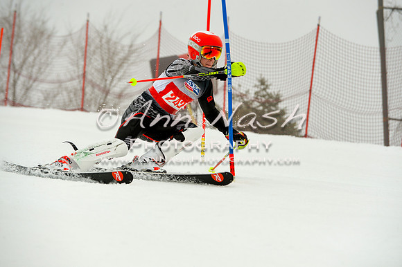 alpine-Jan20-2017-DSC_4204