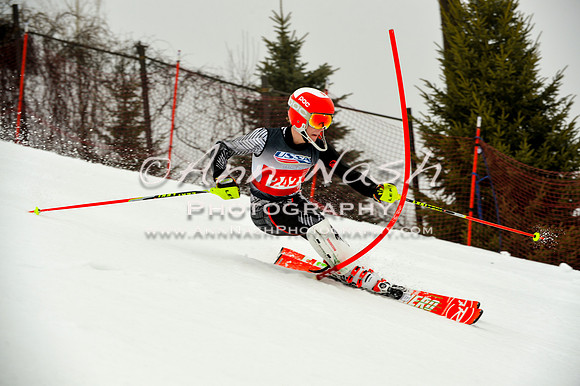 alpine-Jan20-2017-DSC_4206