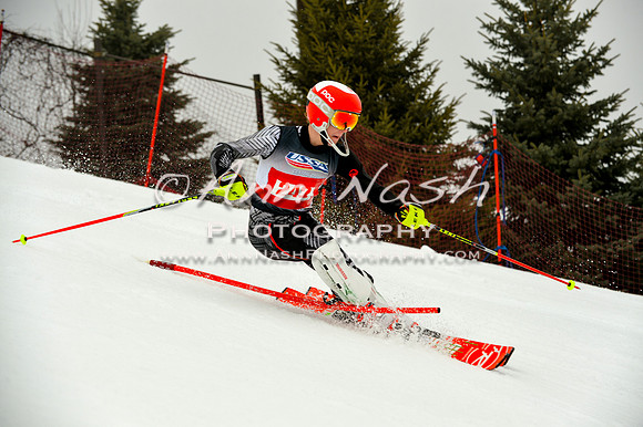 alpine-Jan20-2017-DSC_4207