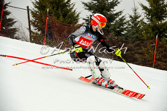 alpine-Jan20-2017-DSC_4208