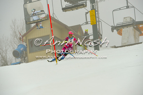 alpine-Jan20-2017-DSC_4209