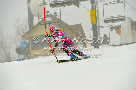 alpine-Jan20-2017-DSC_4211