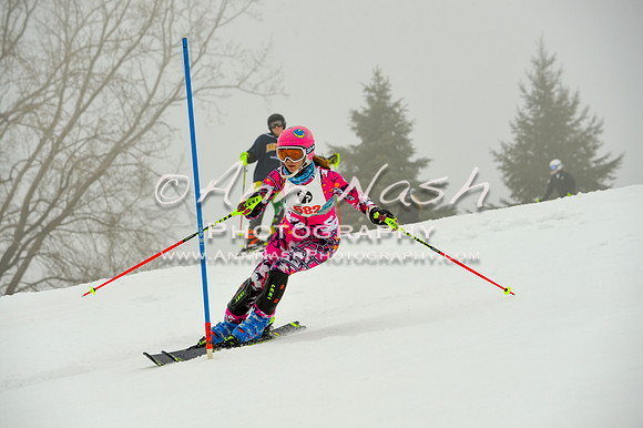 alpine-Jan20-2017-DSC_4213