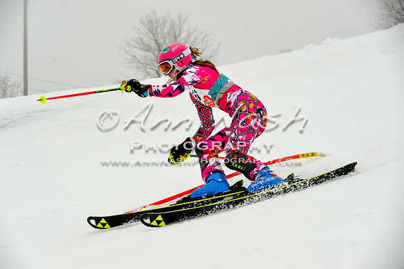 alpine-Jan20-2017-DSC_4216