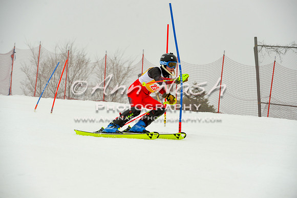 alpine-Jan20-2017-DSC_4220