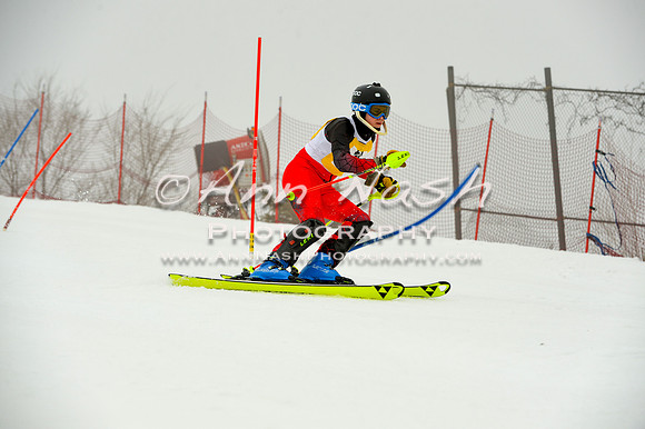 alpine-Jan20-2017-DSC_4221