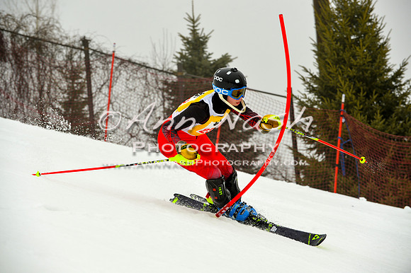 alpine-Jan20-2017-DSC_4222