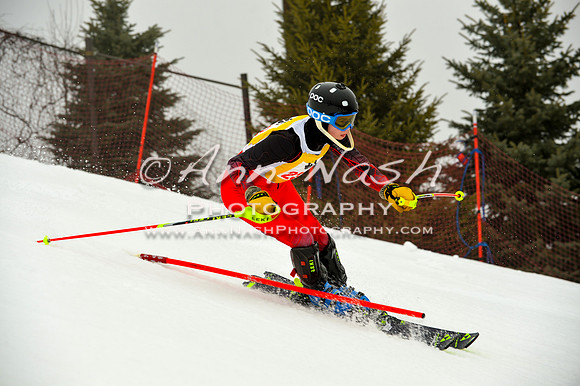 alpine-Jan20-2017-DSC_4223