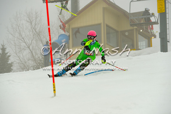 alpine-Jan20-2017-DSC_4224