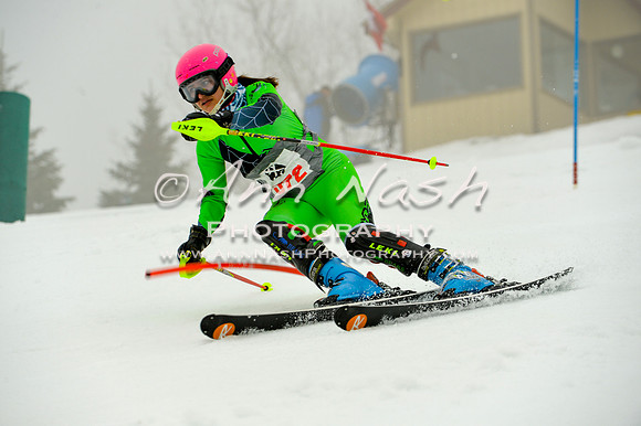 alpine-Jan20-2017-DSC_4226