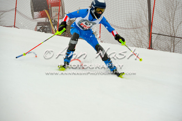 alpine-Jan20-2017-DSC_4233