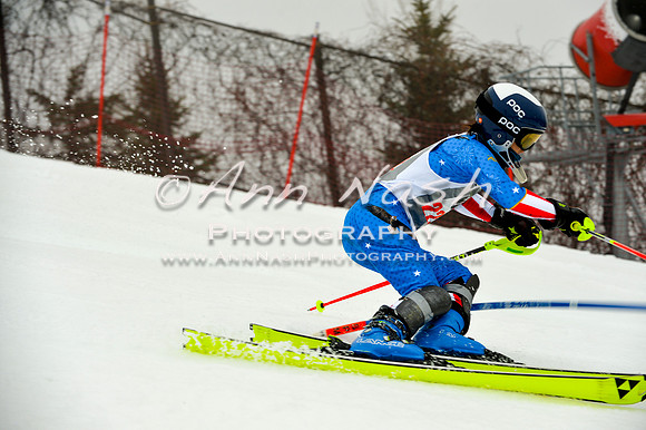 alpine-Jan20-2017-DSC_4236