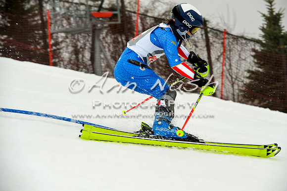 alpine-Jan20-2017-DSC_4237