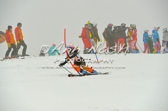 alpine-Jan20-2017-DSC_4240