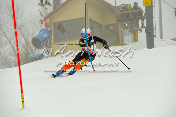 alpine-Jan20-2017-DSC_4241