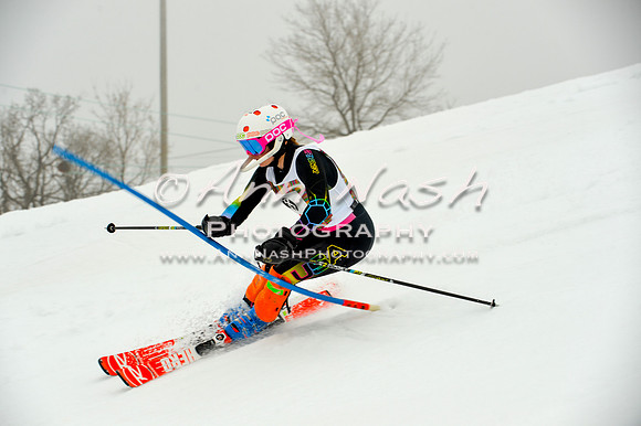 alpine-Jan20-2017-DSC_4246