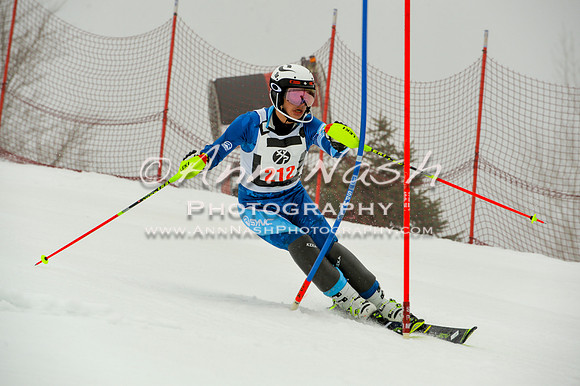 alpine-Jan20-2017-DSC_4250