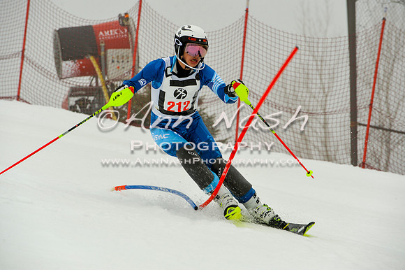 alpine-Jan20-2017-DSC_4251