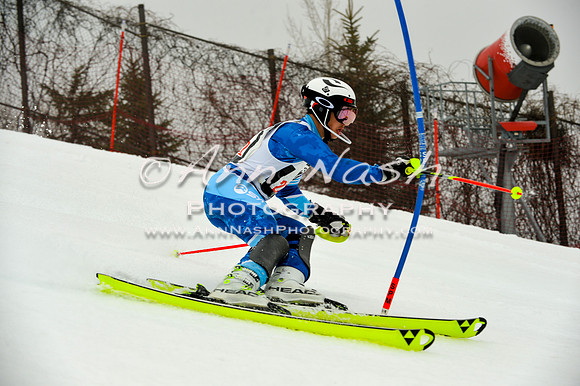 alpine-Jan20-2017-DSC_4252