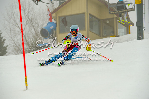 alpine-Jan20-2017-DSC_4260