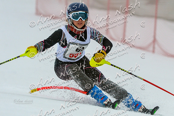 alpine-Jan20-2017-DSC_2787
