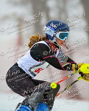 alpine-Jan20-2017-DSC_2791