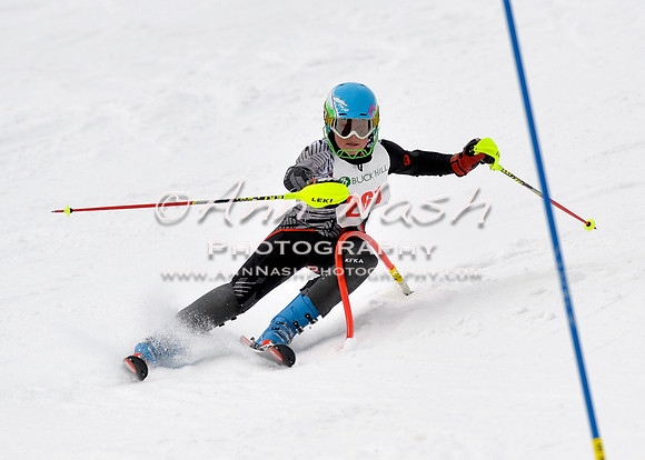 alpine_2015-01-22_11-40-17_DSC_0228_©AnnNashPhotographyLLC_2015