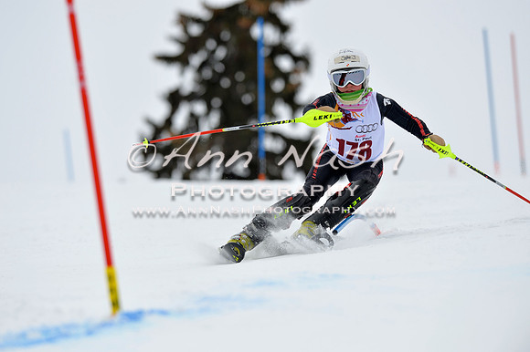 alpine_2015-02-14_12-59-19_DSC_7770_©AnnNashPhotographyLLC_2015