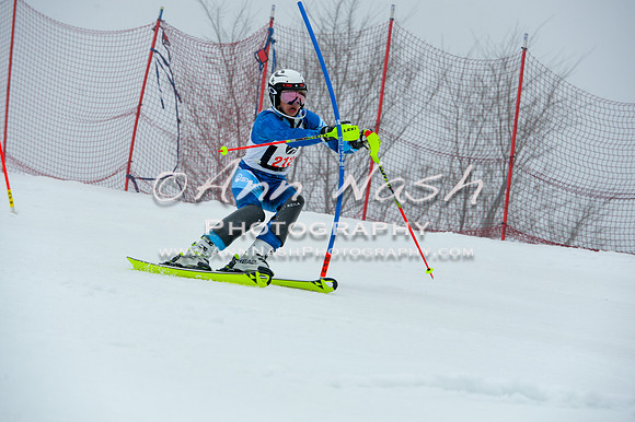 alpine-Jan20-2017-DSC_4248