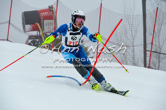 alpine-Jan20-2017-DSC_4251