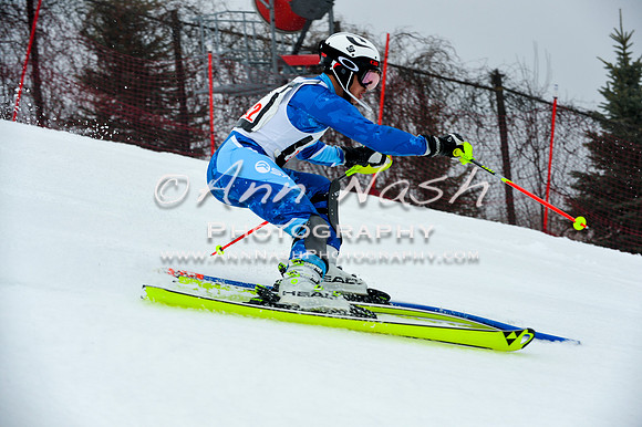 alpine-Jan20-2017-DSC_4253