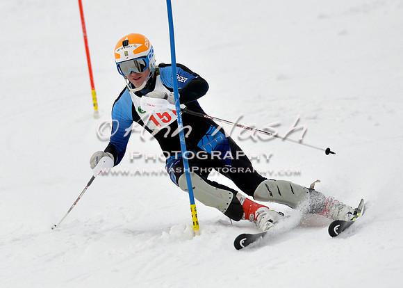 alpine_2015-01-22_11-33-55_DSC_9980_©AnnNashPhotographyLLC_2015