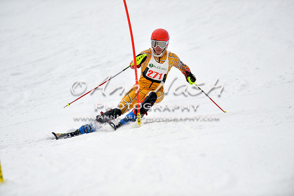 alpine_2015-01-22_11-40-41_DSC_0253_©AnnNashPhotographyLLC_2015