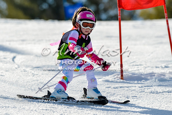 alpine-Feb19-2017-DSC_8045