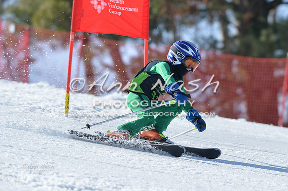 alpine-Feb19-2017-DSC_8082