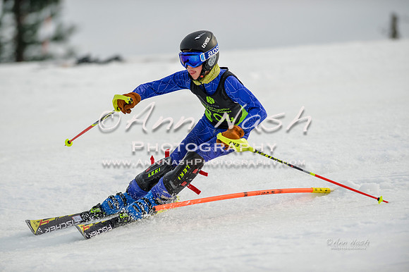 alpine-Feb19-2017-DSC_0311