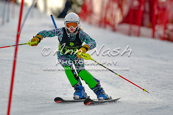 alpine-Feb19-2017-DSC_0720
