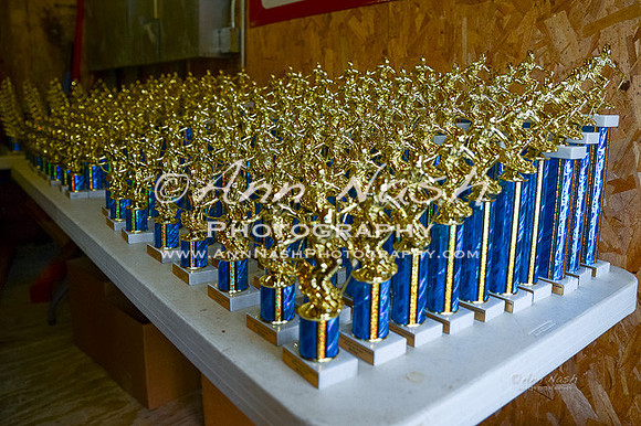 alpine-Feb19-2017-DSC_0818