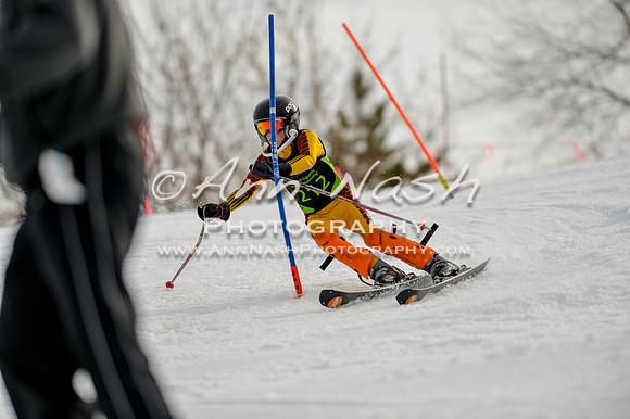 alpine-Feb19-2017-DSC_0937
