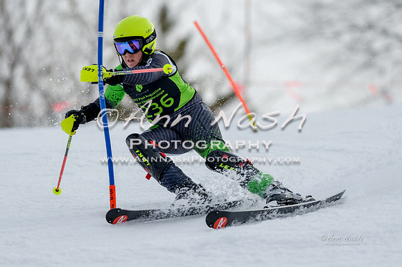 alpine-Feb19-2017-DSC_0727