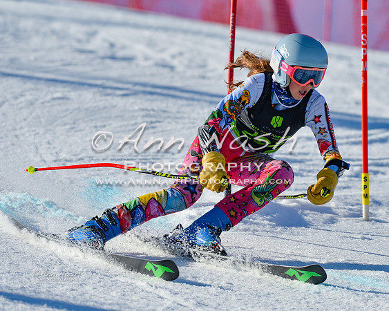 alpine-Feb19-2017-DSC_7196