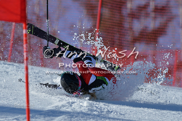 alpine-Feb19-2017-DSC_7684