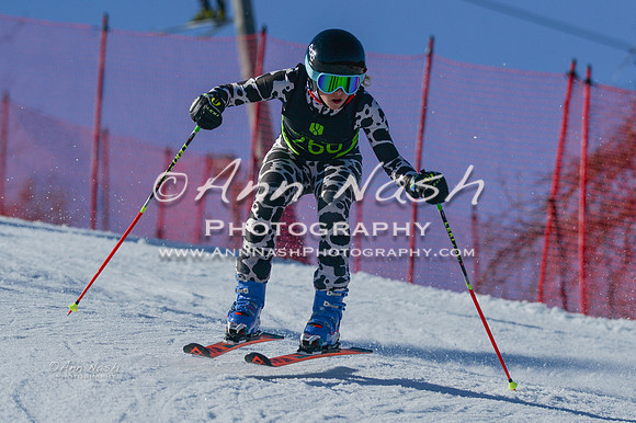 alpine-Feb19-2017-DSC_7750
