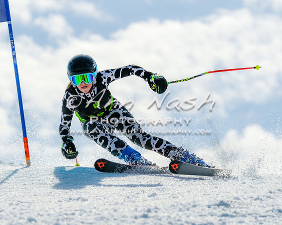 alpine-Feb19-2017-DSC_9438