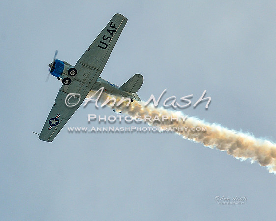 alpine-Feb19-2017-DSC_6637