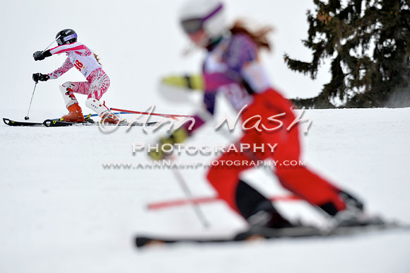 alpine_2015-02-14_13-17-12_DSC_8158_©AnnNashPhotographyLLC_2015