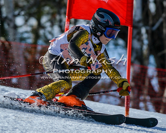 alpine-Feb19-2017-DSC_8603